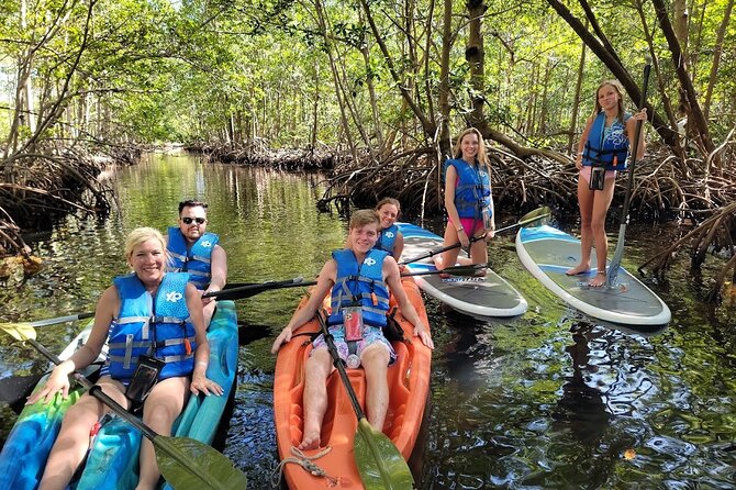 Mangrove Jungle Exploration on SUP/Kayak - Who should book this paddle