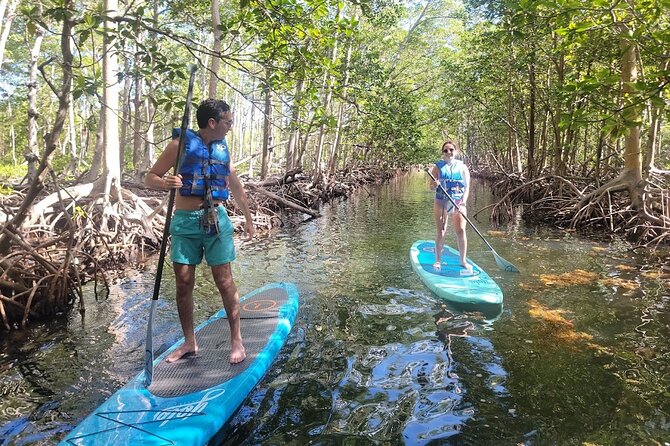 Mangrove Jungle Exploration on SUP/Kayak - FAQ