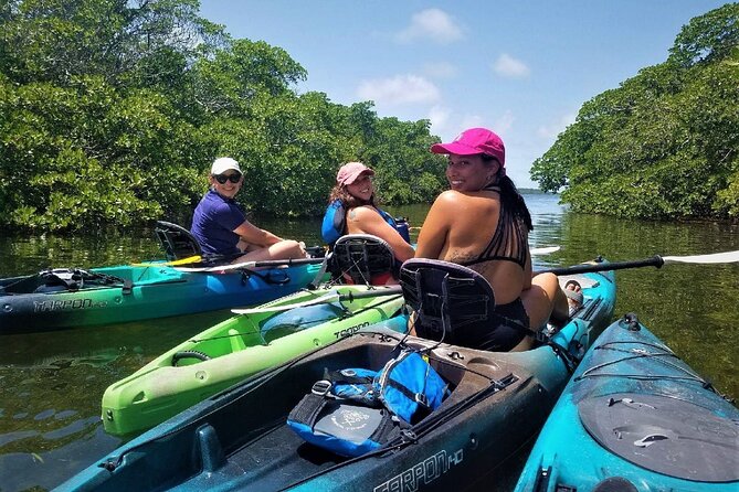 Mangrove Tunnel Kayak Adventure in Key Largo - What the mangrove tunnels offer