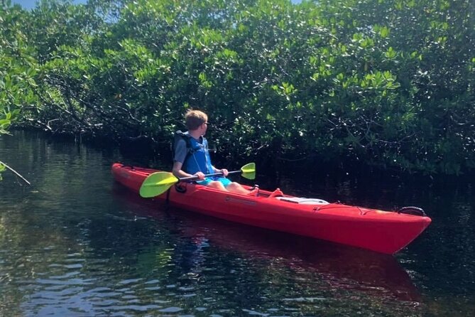 Mangrove Tunnel Kayak Adventure in Key Largo - Snorkeling as an extra perspective