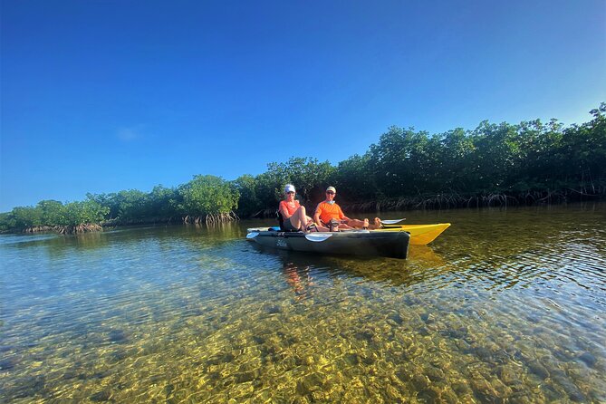 Mangrove Tunnel Kayak Adventure in Key Largo - Who will enjoy this tour most