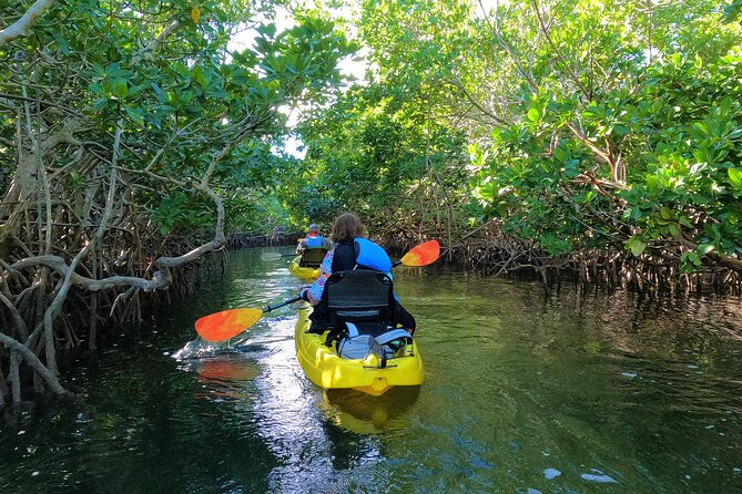 Mangrove Tunnel Kayak Adventure in Key Largo - Paddling through narrow passages