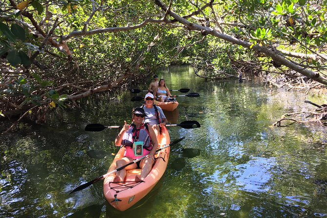 Mangroves and Manatees - Guided Kayak Eco Tour - What makes this paddle worthwhile