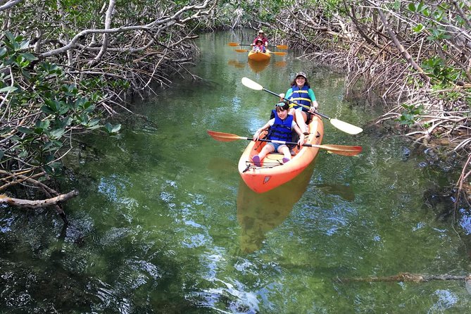 Mangroves and Manatees - Guided Kayak Eco Tour - A guide who sets the tone