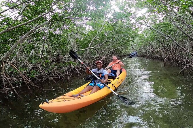 Mangroves and Manatees - Guided Kayak Eco Tour - Family-friendly, with a few practical limits