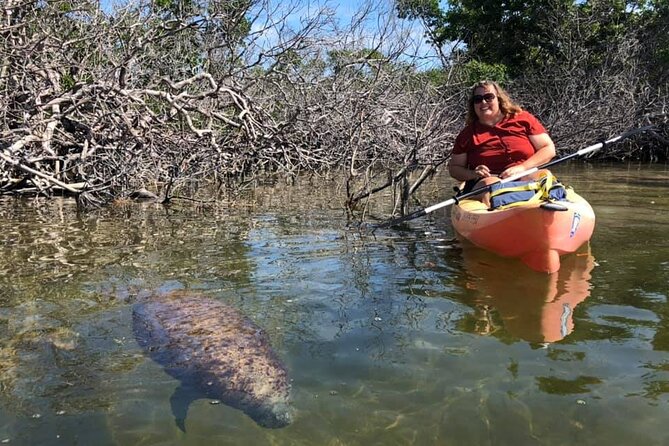 Mangroves and Manatees - Guided Kayak Eco Tour - What to bring and how to plan
