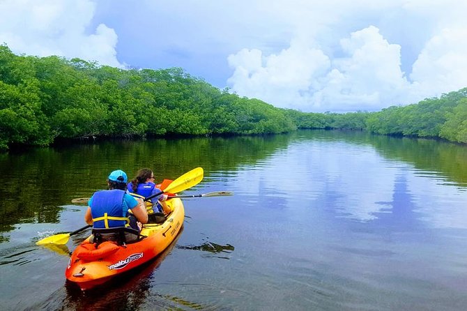 Mangroves and Manatees - Guided Kayak Eco Tour - Getting comfortable in a kayak
