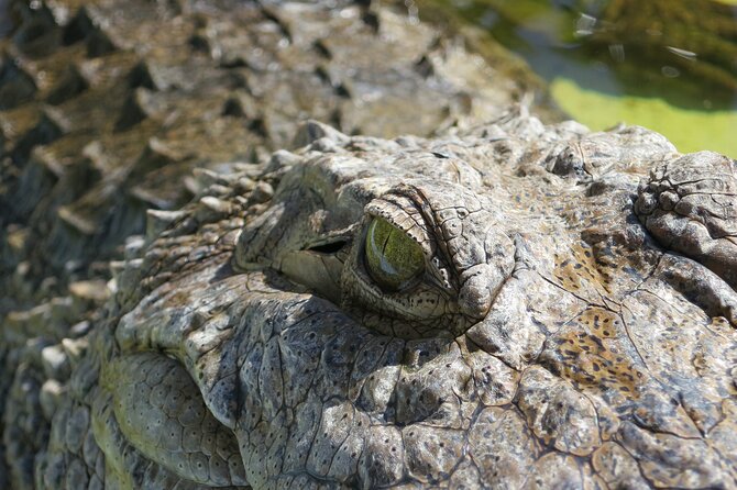 Miami and Everglades Adventure: Airboat & Bay Cruise Combo - Biscayne Bay brings the city into view