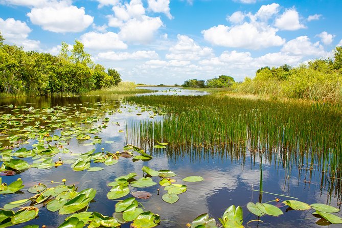 Miami and Everglades Adventure: Airboat & Bay Cruise Combo - FAQ