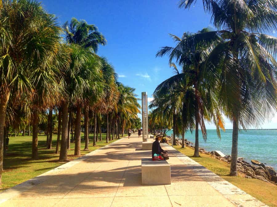 Miami Beach: 1-Hour Segway Glide - Is $41 a Fair Price?