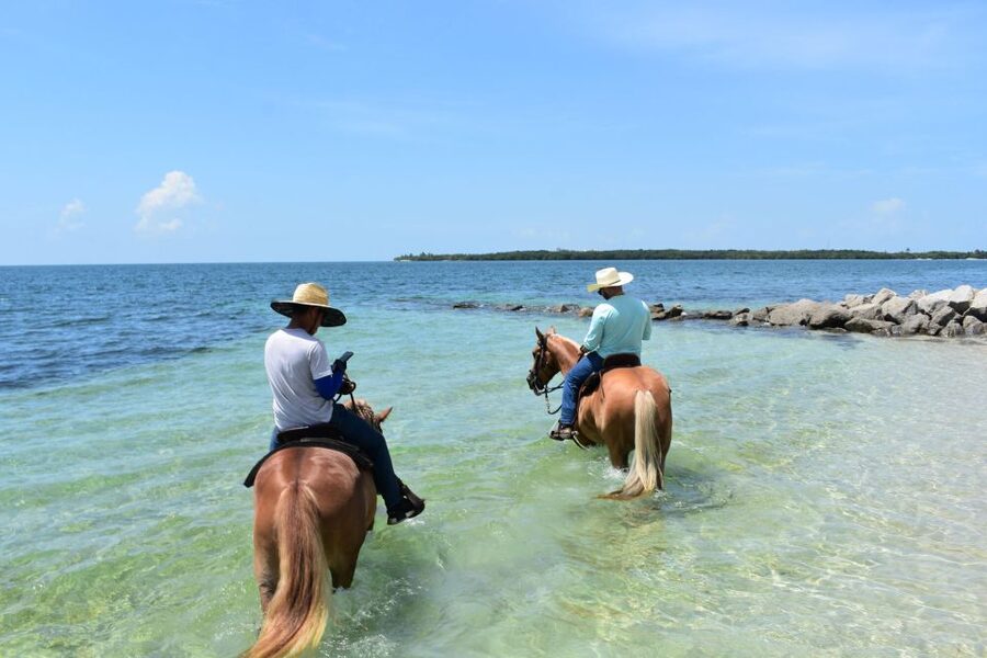 Miami: Beach Horse Ride & Nature Trail - Key points before you book