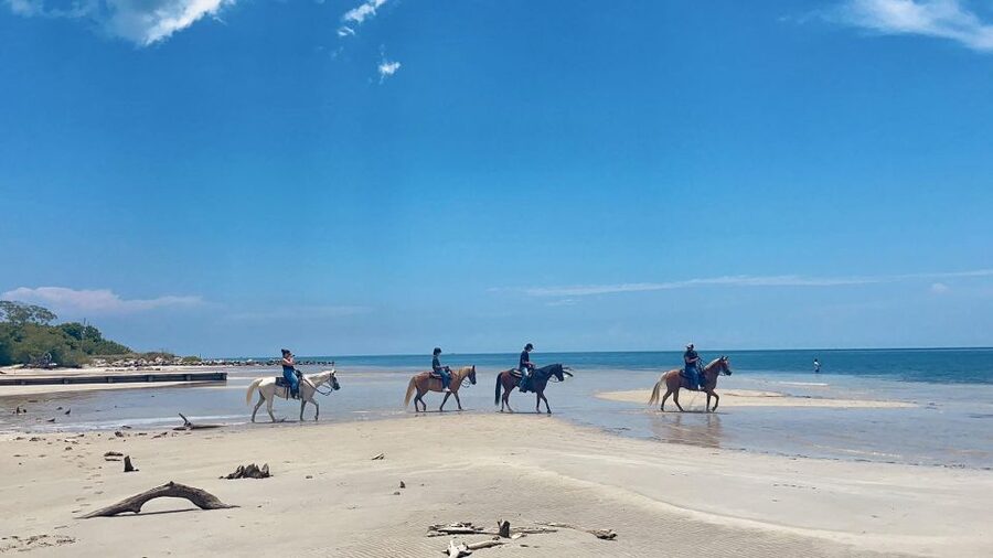 Miami: Beach Horse Ride & Nature Trail - From the ranch to the Virginia Key trail