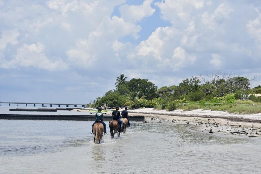Miami: Beach Horse Ride & Nature Trail - Reaching the sand and shoreline