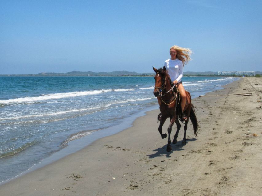 Miami: Beach Horse Ride & Nature Trail - Is one hour worth $180?