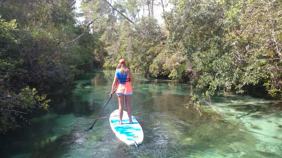 Miami: Biscayne Bay Ultimate Boat Tour with Kayak Experience - From downtown marina to open bay