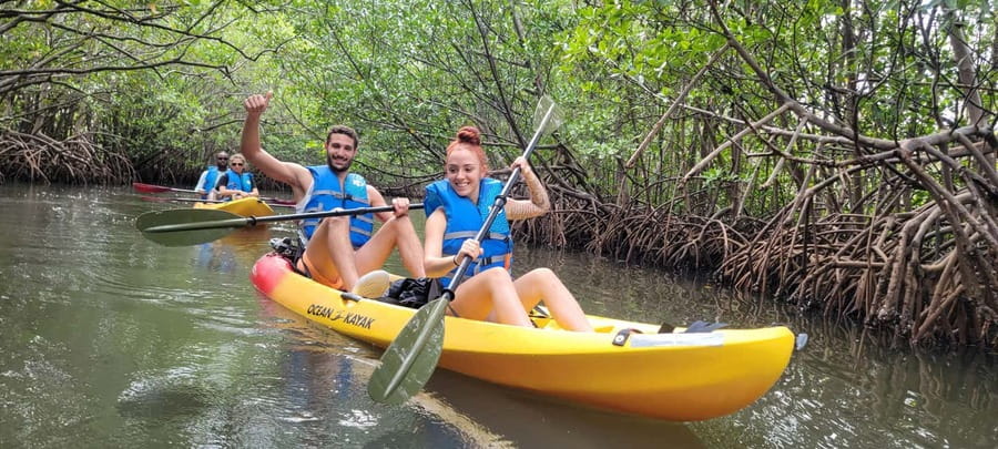 Miami: Biscayne Bay Ultimate Boat Tour with Kayak Experience - A first kayak in the mangroves