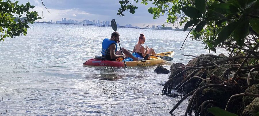 Miami: Biscayne Bay Ultimate Boat Tour with Kayak Experience - Is $99 a fair price?