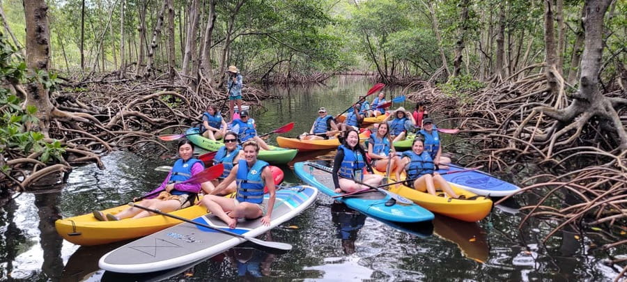 Miami: Biscayne Bay Ultimate Boat Tour with Kayak Experience - Should you book it?