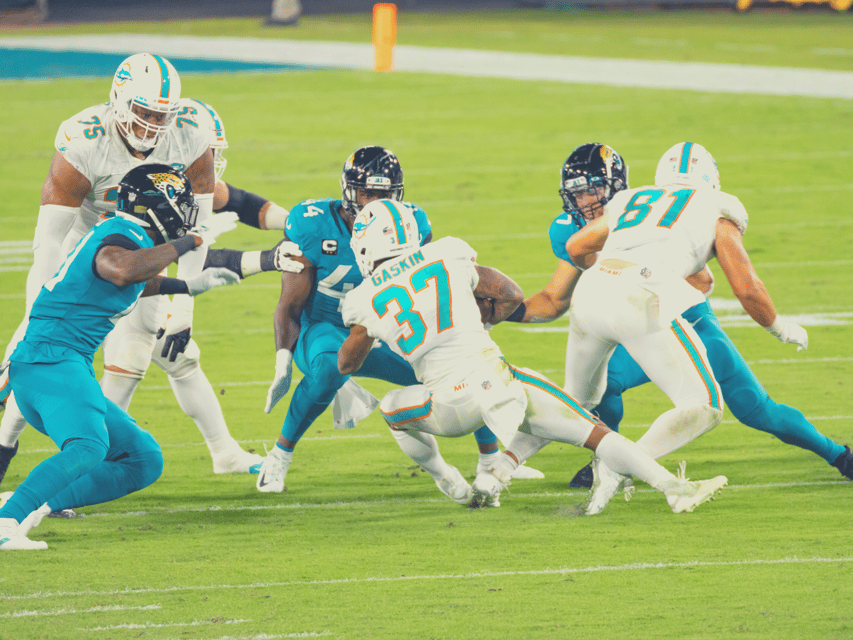 Miami Dolphins NFL Football Game Ticket - Choosing a seat that suits your budget