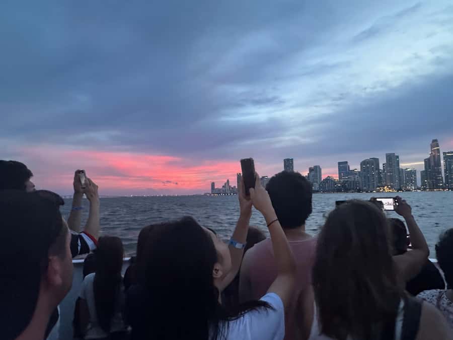 Miami Evening Boat Past Millionaire Homes on Water Taxi - The best reasons to take this Miami night cruise