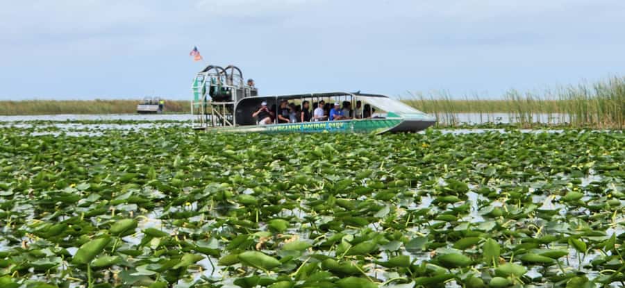 Miami: Everglades Airboat, Gator Encounter & Bus Transfer - Who will get the most from this tour