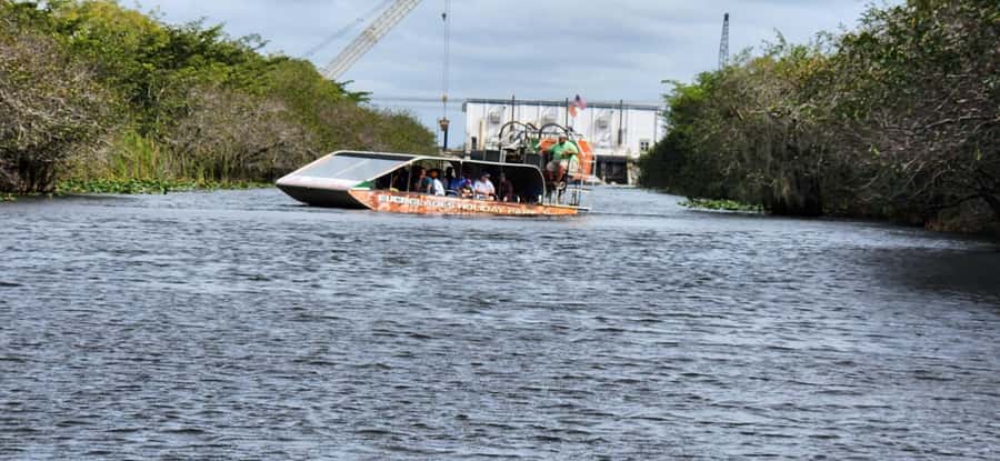 Miami: Everglades Airboat, Gator Encounter & Bus Transfer - Should you book it?