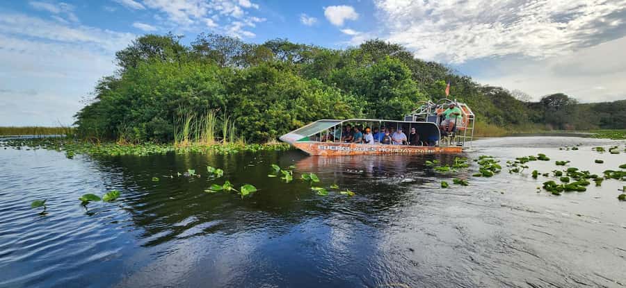 Miami: Everglades Airboat, Gator Encounter & Bus Transfer - What the 45-minute airboat ride is like