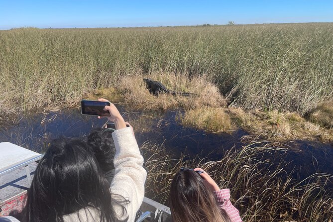 MIAMI: Everglades Airboat, Wildlife Gator Show and Pick-up - The wildlife presentation adds a second perspective