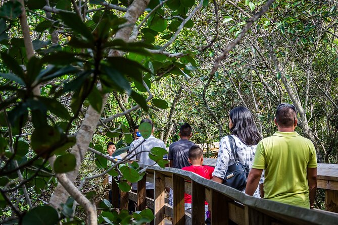 MIAMI: Everglades Airboat, Wildlife Gator Show and Pick-up - Who will enjoy this outing most
