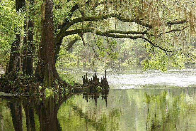 MIAMI: Everglades Airboat, Wildlife Gator Show and Pick-up - FAQ