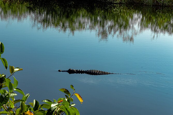 MIAMI: Everglades Airboat, Wildlife Gator Show and Pick-up - Pickup saves a drive, but not the commute