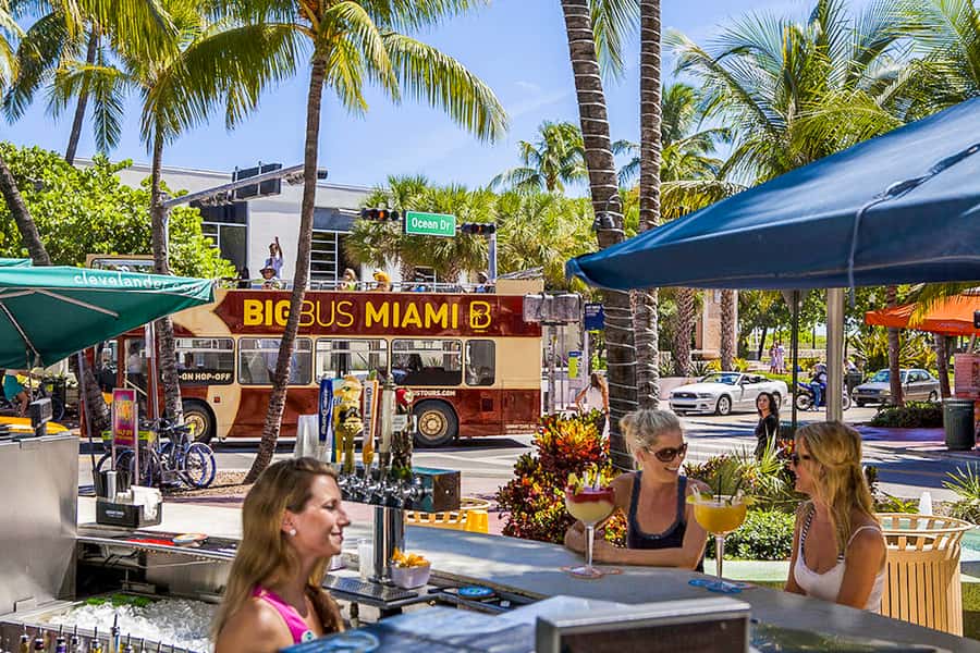 Miami: Everglades Experience, Bay Cruise & Open-Top Bus Tour - Airboat ride across the Everglades