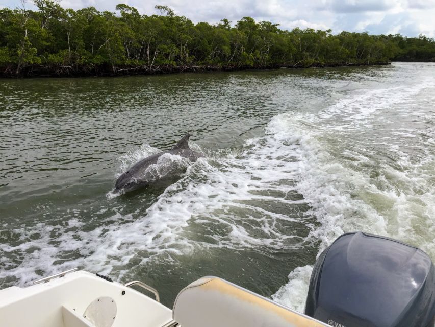 Miami: Everglades Full-Day Tour with 2 Boat Trips and Lunch - Big Cypress brings you into the cypress shade