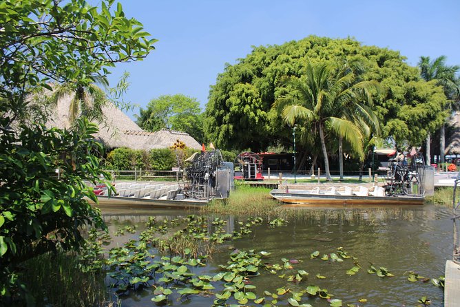 Miami + Everglades in One Perfect Day–small group & pick up - The Everglades stop: wildlife, airboat and waiting time
