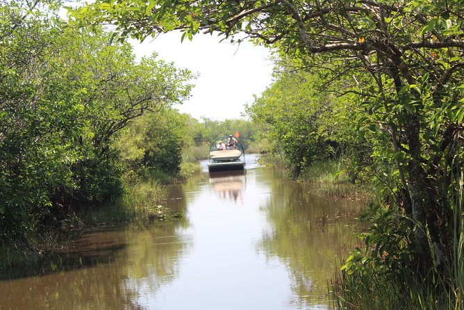 Miami + Everglades in One Perfect Day–small group & pick up - Coral Gables: grand homes and Mediterranean details