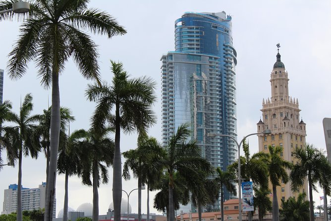 Miami + Everglades in One Perfect Day–small group & pick up - Guides, group size and the rhythm of the day