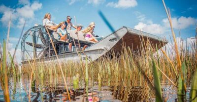 Everglades National Park Airboat Tour & Wildlife Show
