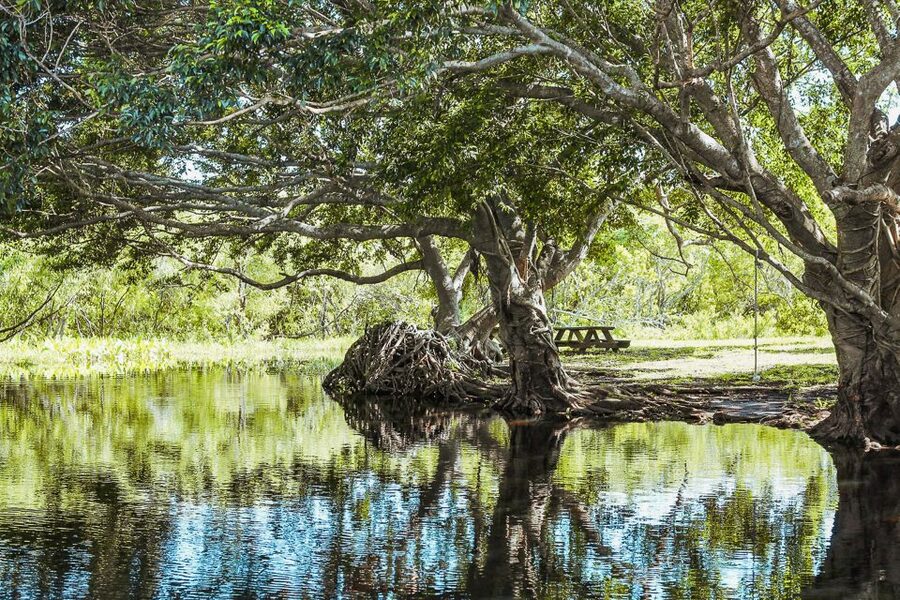 Miami: Everglades National Park Airboat Tour & Wildlife Show - Timing, meeting point, and getting there