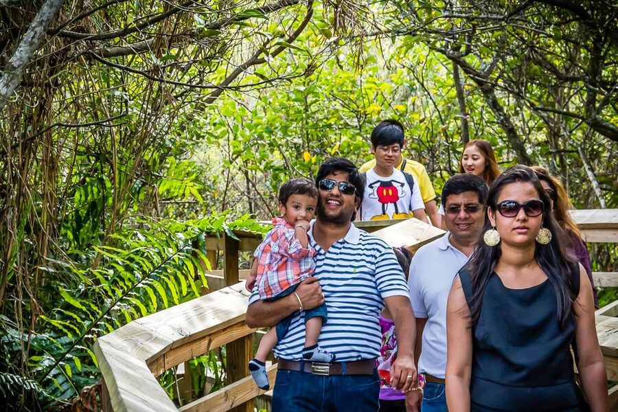 Miami: Everglades Safari Park Airboat Tour - An airboat ride across the River of Grass
