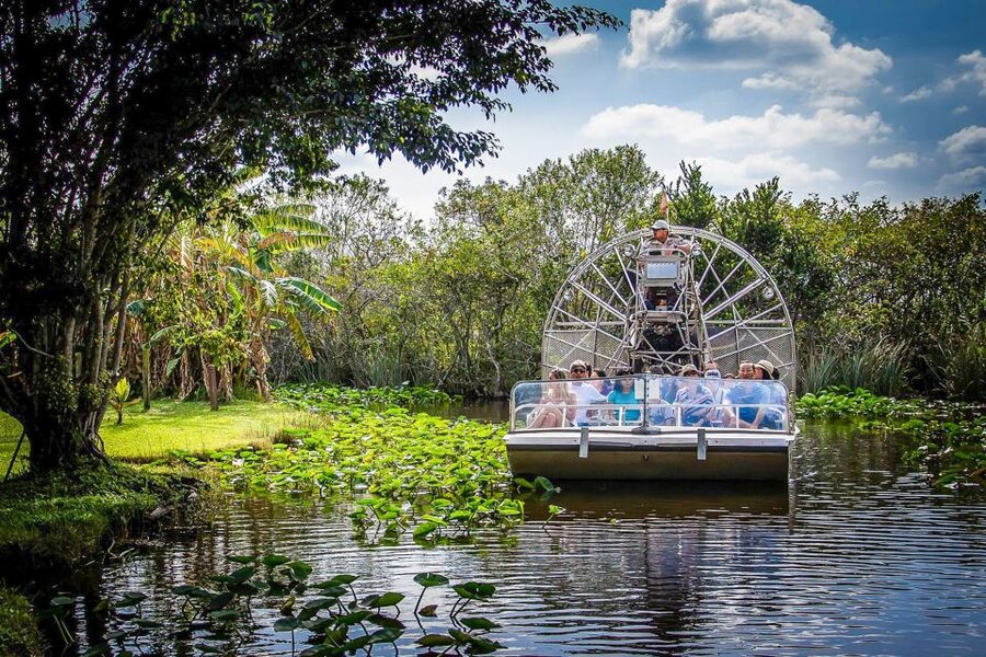 Miami: Everglades Safari Park Airboat Tour - Spotting wildlife, with no guarantees