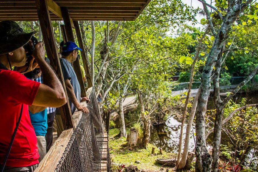 Miami: Everglades Safari Park Airboat Tour - Timing, weather, and what to bring