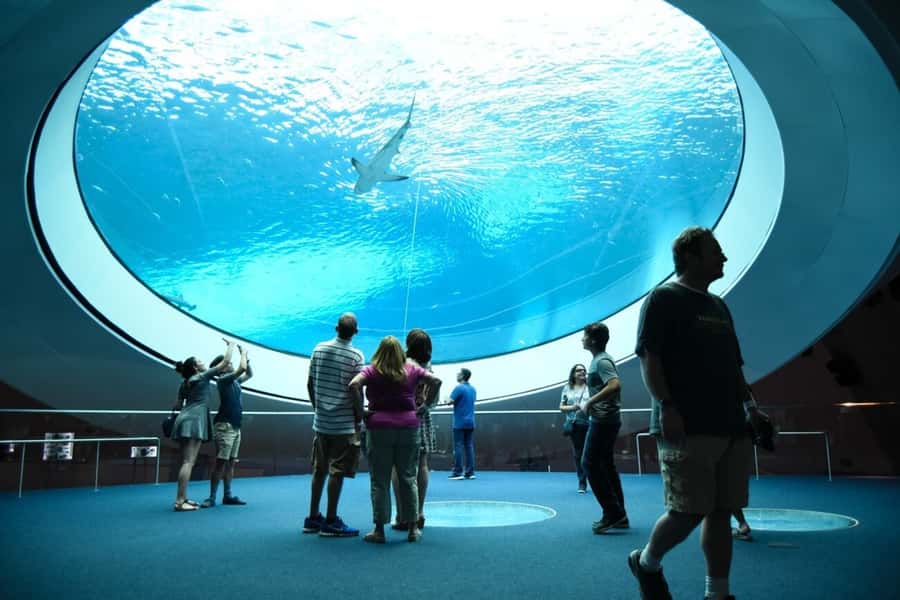 Miami: Frost Museum of Science and Planetarium Entry Ticket - Should you book the Frost Museum?