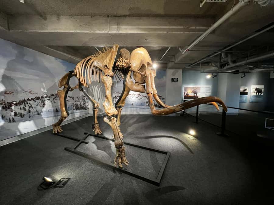 Miami: Frost Museum of Science and Planetarium Entry Ticket - How to plan a three- or four-hour visit