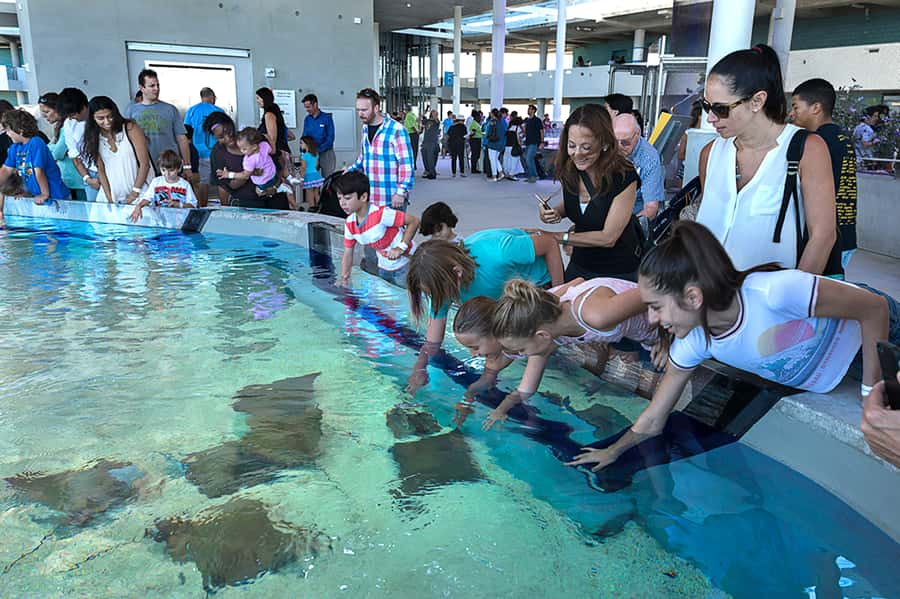 Miami: Frost Museum of Science and Planetarium Entry Ticket - Is the $30 ticket good value?