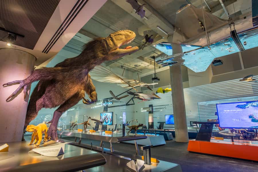 Miami: Frost Museum of Science and Planetarium Entry Ticket - Start with the aquarium’s three levels