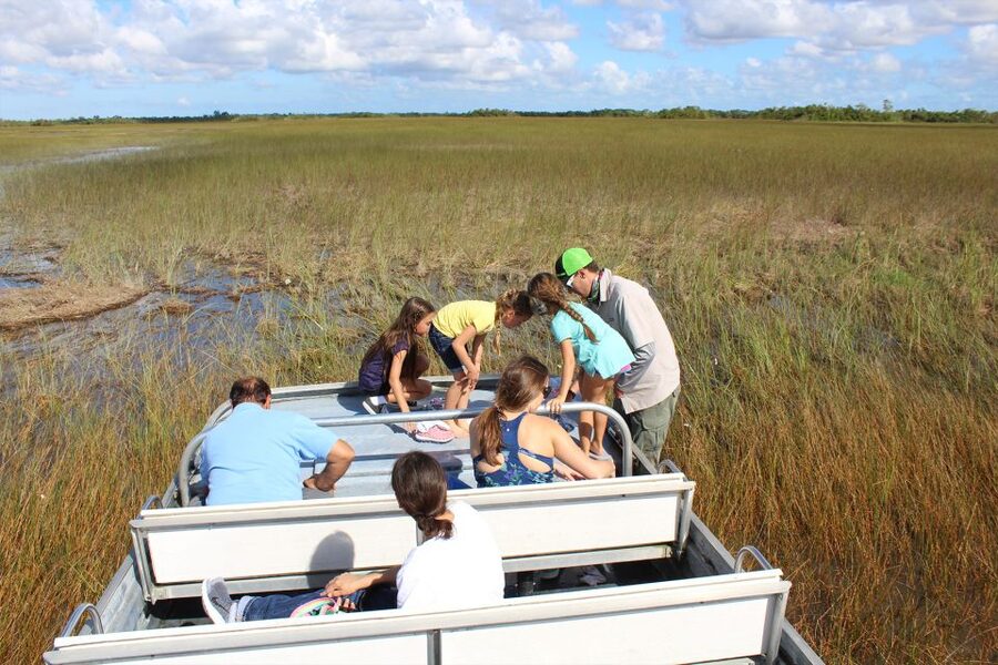 Miami: Go City All-Inclusive Pass with 30+ Attractions - Miami from the water and the bus