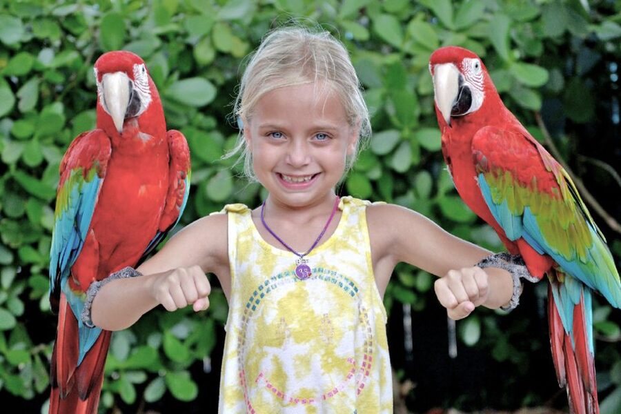 Miami: Go City All-Inclusive Pass with 30+ Attractions - Who will get the most from it?