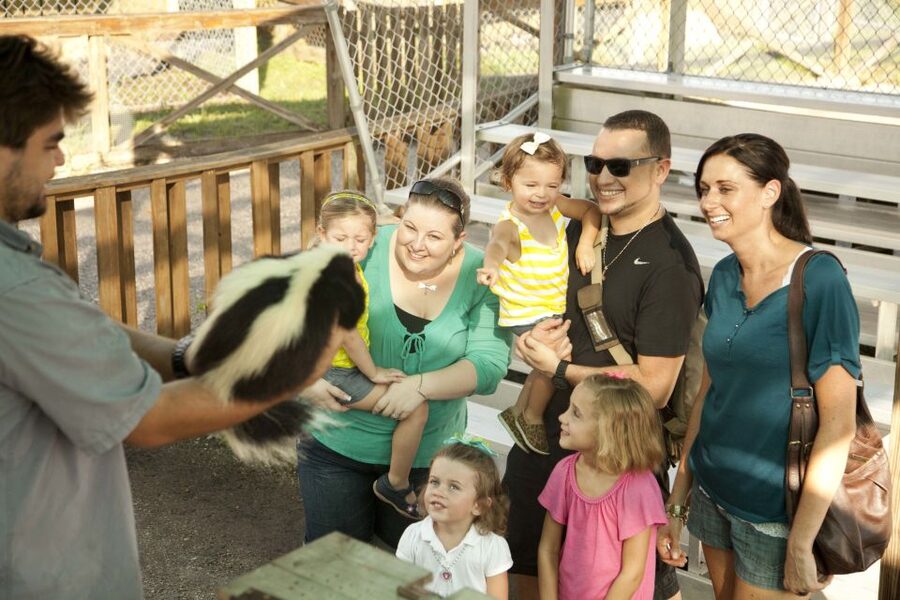 Miami: Go City Explorer Pass - Choose 2 to 5 Attractions - Make the 30-day validity work for you