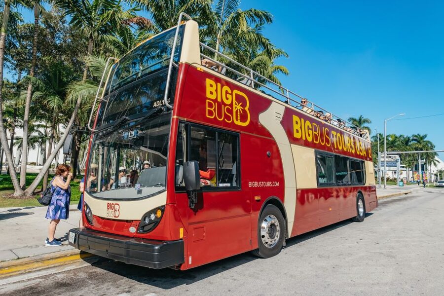 Miami: Half-Day Open-Top Bus Tour Plus Biscayne Bay Cruise - Wynwood Walls and Little Havana deserve more than a glance