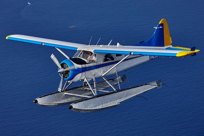Miami Highlights Private Seaplane Tour with Live Commentary - Starting at the waterfront on NE 15th Street